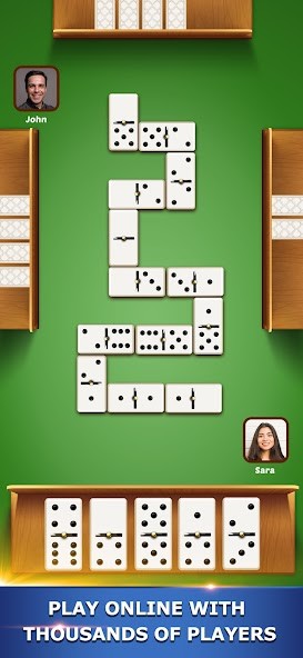 Dominoes Pro screenshot image 1_latestmodsapk.com