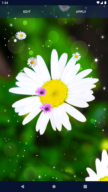 Colourtone screenshot image 7_latestmodsapk.com