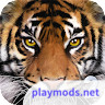 Ultimate Tiger Simulator 2_latestmodsapk.com