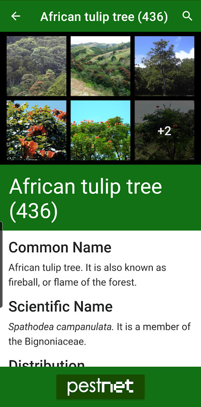 Gymkhana Racing USA Drift Game screenshot image 7_latestmodsapk.com