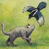 Milo and the Magpies_latestmodsapk.com