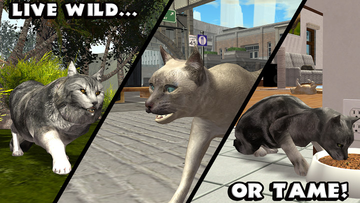 Ultimate Cat Simulator screenshot image 3_latestmodsapk.com