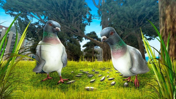 City Bird Pigeon Simulator 3D screenshot image 2_latestmodsapk.com