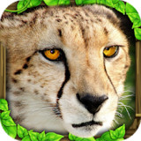 Cheetah Simulator_latestmodsapk.com