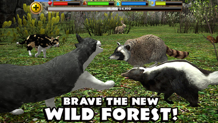 Stray Cat Simulator screenshot image 4_latestmodsapk.com