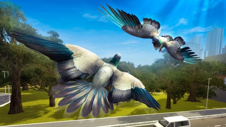 City Bird Pigeon Simulator 3D screenshot image 3_latestmodsapk.com