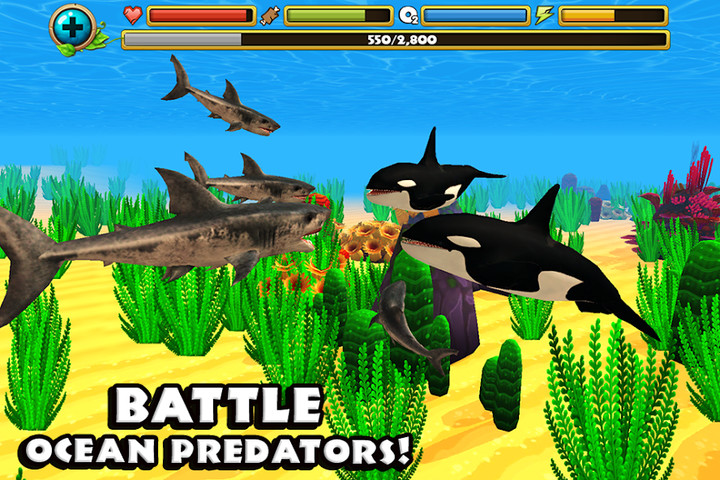 Wildlife Simulator: Shark screenshot image 3_latestmodsapk.com