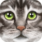 Ultimate Cat Simulator_latestmodsapk.com