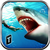 Angry Shark 2016_latestmodsapk.com