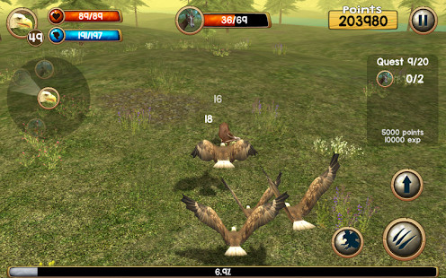 Wild Eagle Sim 3D screenshot image 5_latestmodsapk.com