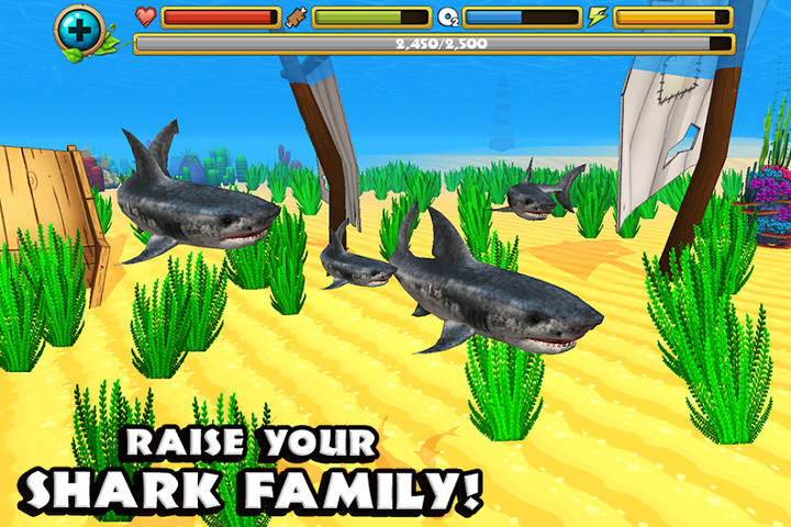 Wildlife Simulator: Shark screenshot image 4_latestmodsapk.com