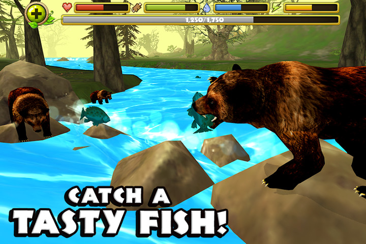 Wildlife Simulator: Bear screenshot image 2_latestmodsapk.com