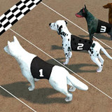 Crazy Dog Racing_latestmodsapk.com