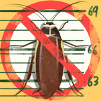 天天打小强_latestmodsapk.com