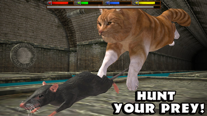 Ultimate Cat Simulator screenshot image 2_latestmodsapk.com