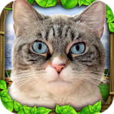 Stray Cat Simulator_latestmodsapk.com