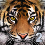 Ultimate Tiger Simulator 2_latestmodsapk.com