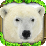 Polar Bear Simulator_latestmodsapk.com
