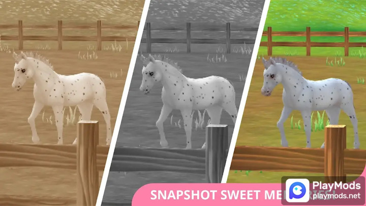 Star Stable Horses screenshot image 5_latestmodsapk.com