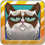 Angry Cat Jump_latestmodsapk.com