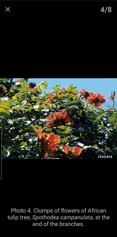 Gymkhana Racing USA Drift Game screenshot image 11_latestmodsapk.com