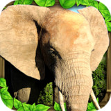 Elephant Simulator_latestmodsapk.com