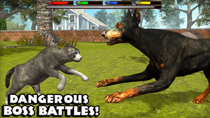 Ultimate Cat Simulator screenshot image 5_latestmodsapk.com