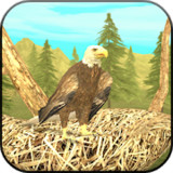 Wild Eagle Sim 3D_latestmodsapk.com