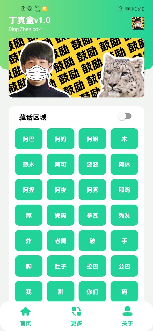 丁真盒 screenshot image 1_latestmodsapk.com