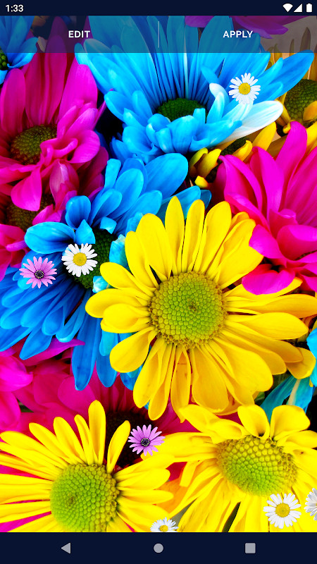 Colourtone screenshot image 1_latestmodsapk.com