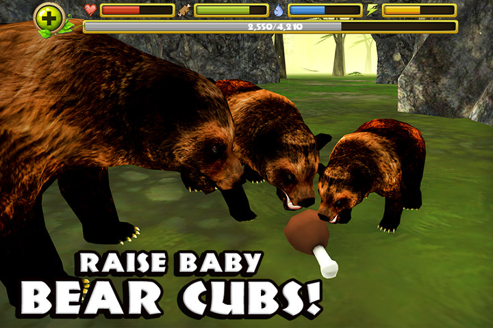 Wildlife Simulator: Bear screenshot image 3_latestmodsapk.com