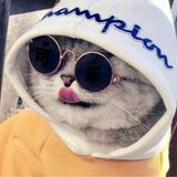 GTA Grand Theft Auto: San Andreas_latestmodsapk.com